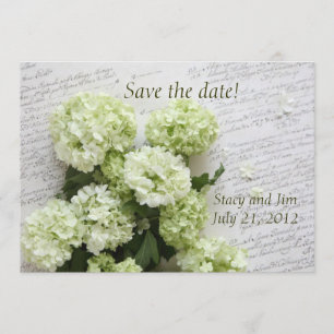 weiße Hydrangeas mit Skript Save the Date