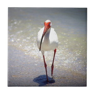 Weiße IBIS-Spreize Fliese