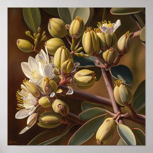 Weiße Jojoba-Blüten Kunst Druck Poster