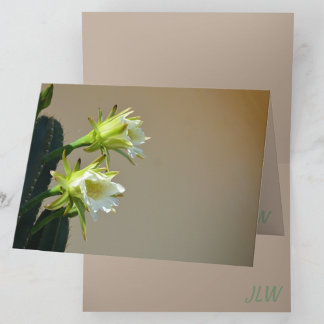 Weiße Kakteen Blume Bläsertaube Noten Karte