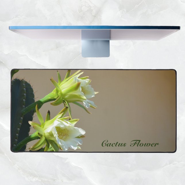 Weiße Kaktus Blume Botanische Blumenfotografie Schreibtischunterlage (Von Creator hochgeladen)