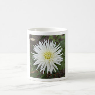 Weiße Kaktus-Dahlie Blumen-Tasse Kaffeetasse