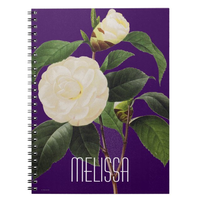 Weiße Kamelie, 1833 Notizblock (Vorderseite)