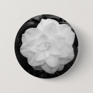 Weiße Kamelie Button