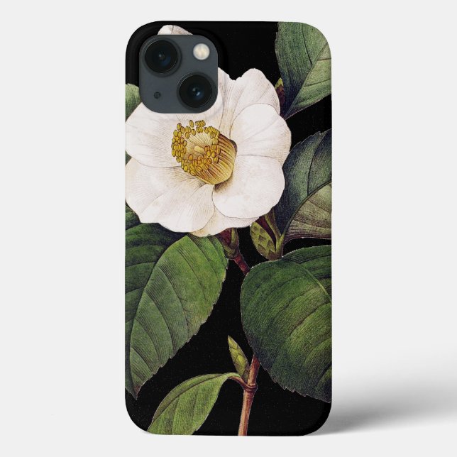 Weiße Kamelie Case-Mate iPhone Hülle (Rückseite)