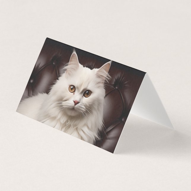 Weiße Katze (Vorderseite)