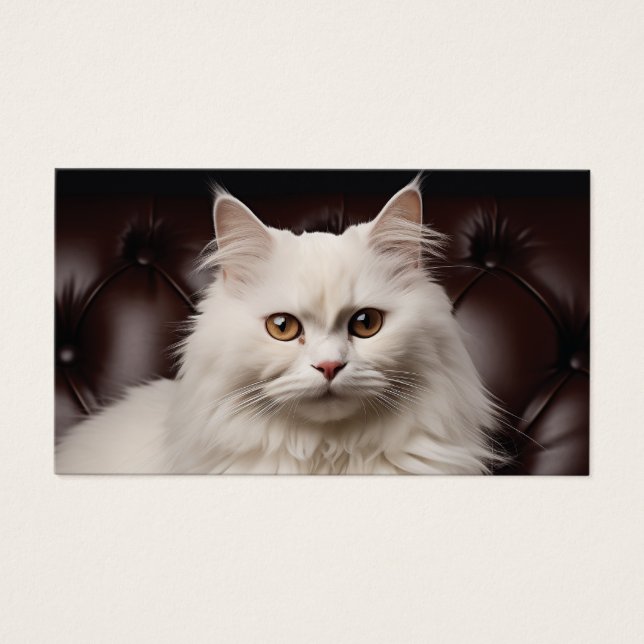 Weiße Katze (Vorderseite)