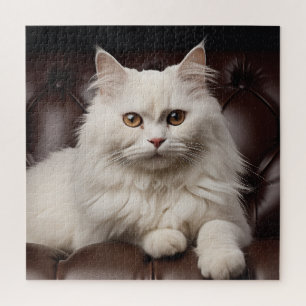 Weiße Katze