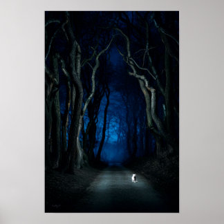 Weiße Katze auf Canopy Road am Night Poster Art Pr