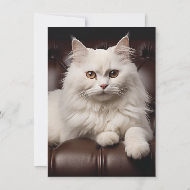 Weiße Katze Dankeskarte (Vorderseite)