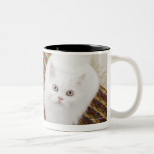 Weiße Katze, die auf Matte sitzt Zweifarbige Tasse