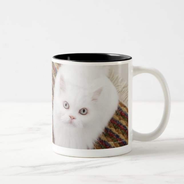Weiße Katze, die auf Matte sitzt Zweifarbige Tasse (Rechts)