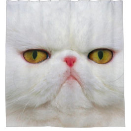Weiße Katze Duschvorhang