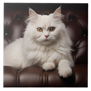 Weiße Katze Fliese