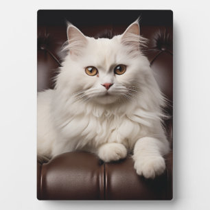 Weiße Katze Fotoplatte