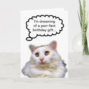 Weiße Katze Geburtstag Humor Karte