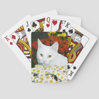 Weiße Katze im Herbst Blume Spielkarten