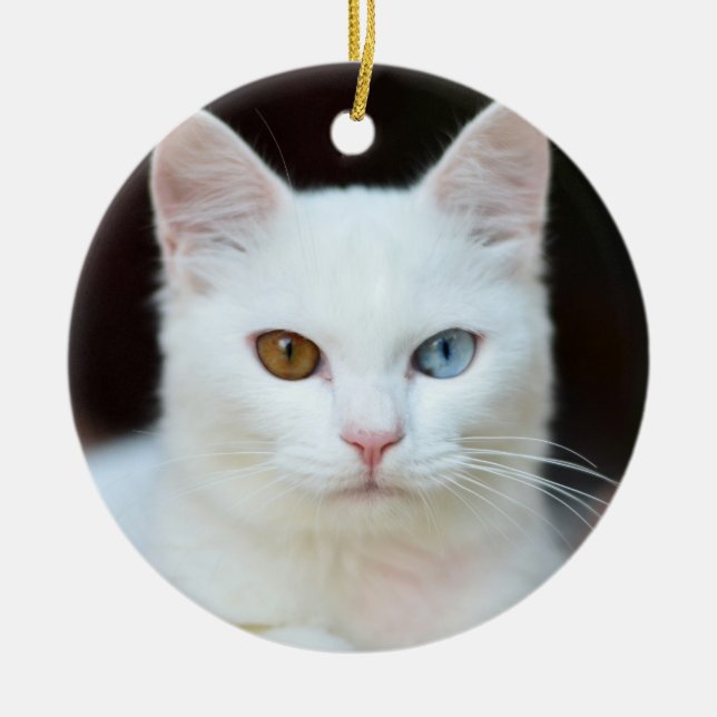 Weiße Katze Keramik Ornament (Vorne)