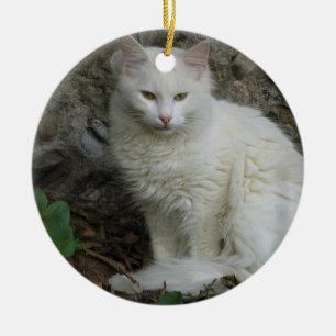 Weiße Katze Keramikornament