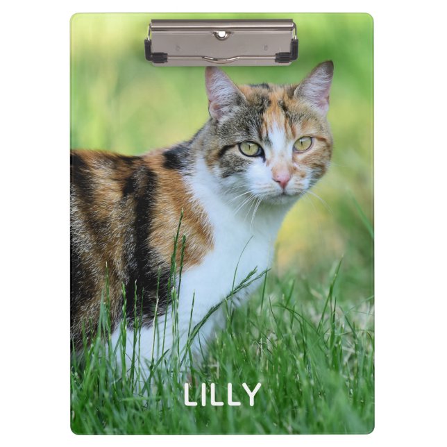 Weiße Katze Klemmbrett (Vorderseite)