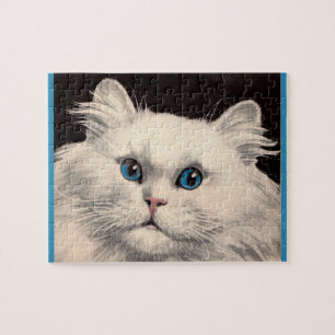 weiße Katze mit blauen Augen