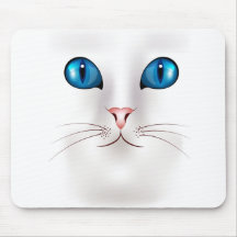 Weiße Katze mit blauen Augen