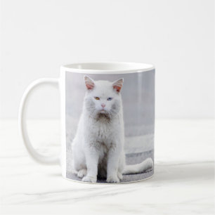 Weiße Katze mit einem blauen, einem gelben Auge Kaffeetasse