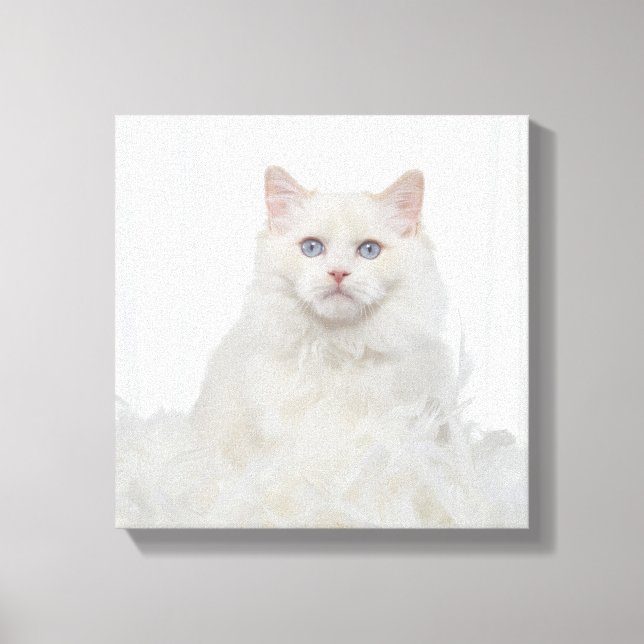 Weiße Katze mit Federn Leinwanddruck (Vorderseite)