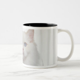 Weiße Katze mit Federn Zweifarbige Tasse