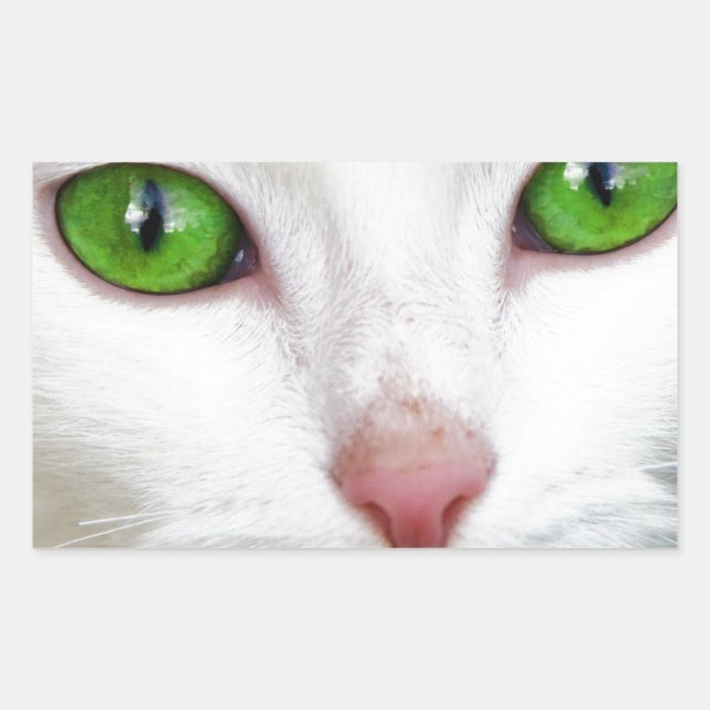 Weiße Katze mit grün grünen Augen Rechteckiger Aufkleber (Vorderseite)