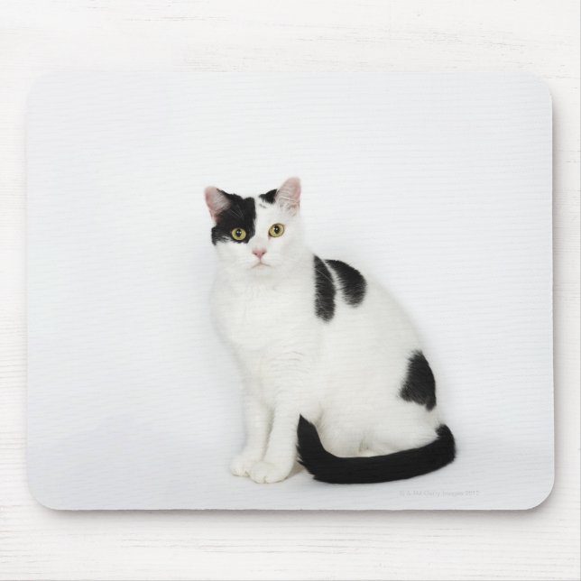 Weiße Katze mit schwarzen Flecken Mousepad (Vorne)