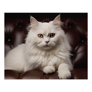 Weiße Katze Poster