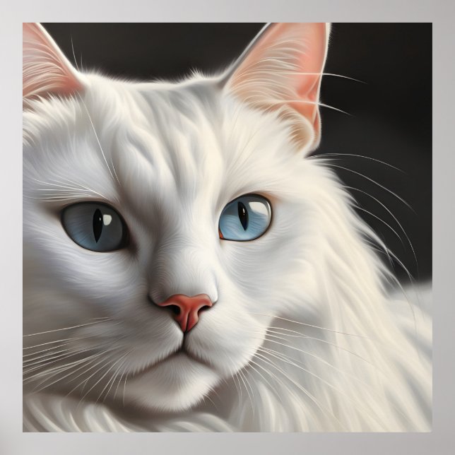 Weiße Katze. Poster (Vorne)