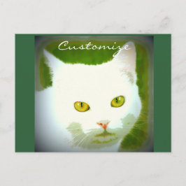 Weiße Katze Postkarte