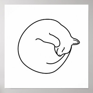 Weiße Katze Schwarz in Weiß Poster