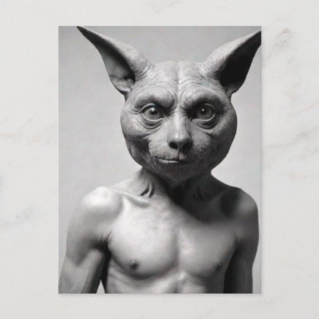 Weiße Katze Typ Postkarte (Vorderseite)