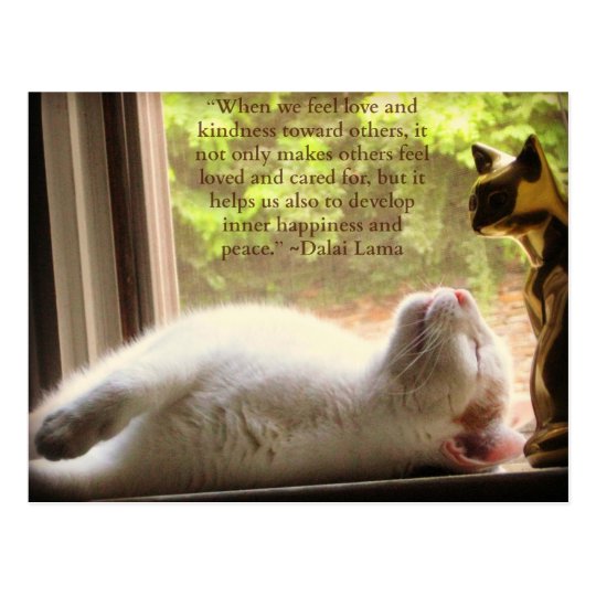 Get Zitat katze Desktop Wallpaper Free