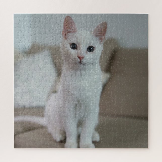 Weiße Katze | Zazzle_Growshop. (Vertikal)
