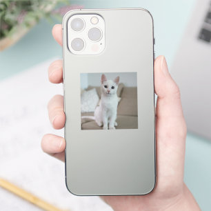Weiße Katze Zazzle_Growshop. Aufkleber