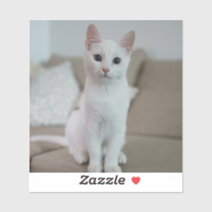 Weiße Katze Zazzle_Growshop. Aufkleber
