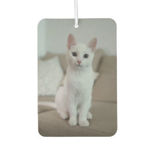 Weiße Katze Zazzle_Growshop. Autolufterfrischer