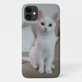 Weiße Katze | Zazzle_Growshop. Case-Mate iPhone Hülle