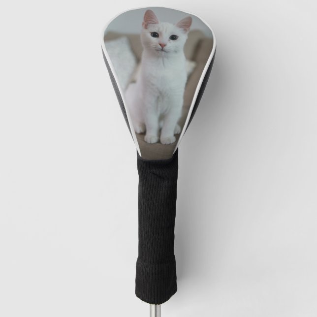 Weiße Katze | Zazzle_Growshop. Golf Headcover (Vorderseite)