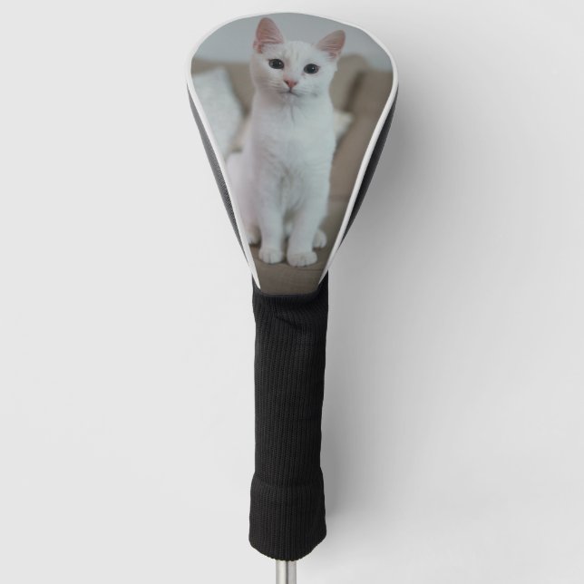 Weiße Katze | Zazzle_Growshop. Golf Headcover (Vorderseite)