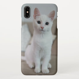 Weiße Katze | Zazzle_Growshop. iPhone Hülle