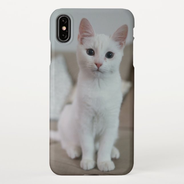 Weiße Katze | Zazzle_Growshop. iPhone Hülle (Rückseite)