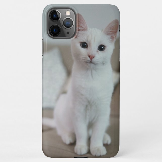 Weiße Katze | Zazzle_Growshop. iPhone Hülle (Rückseite)