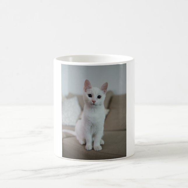 Weiße Katze | Zazzle_Growshop. Kaffeetasse (Mittel)