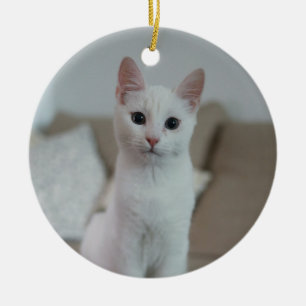 Weiße Katze   Zazzle_Growshop. Keramik Ornament