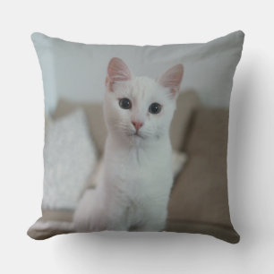 Weiße Katze   Zazzle_Growshop. Kissen